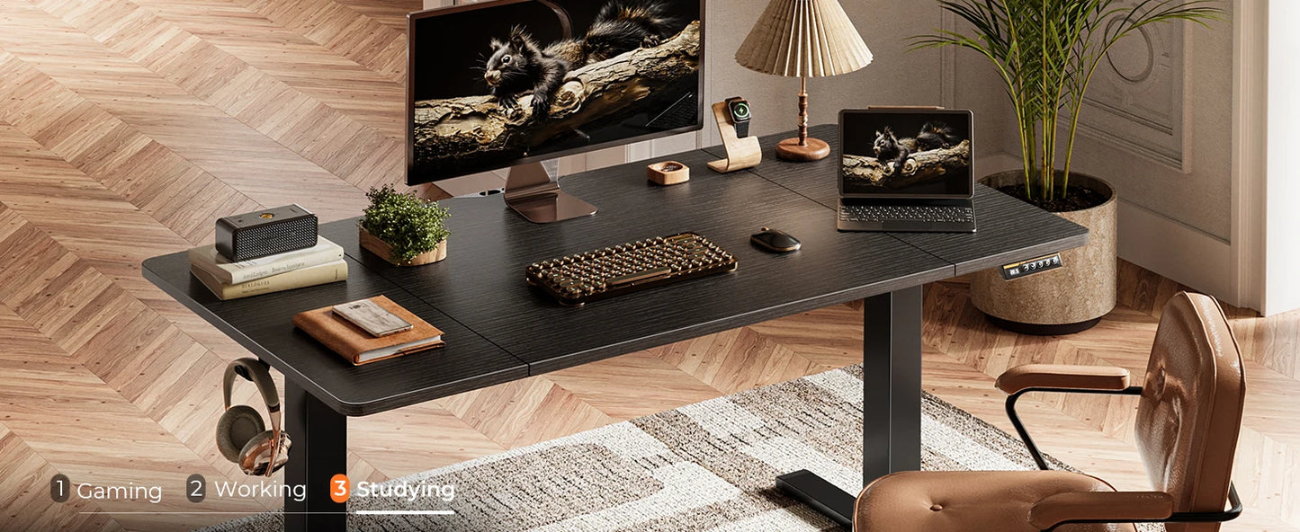 Large Electric Standing Desk