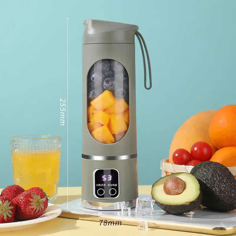 Portable Fruit Juicer 450ml