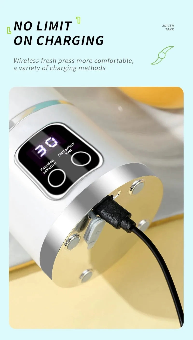 Portable Fruit Juicer 450ml